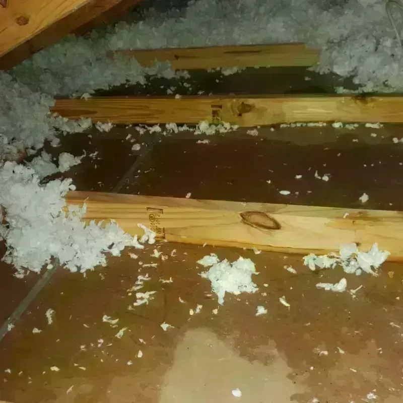 Attic Water Damage in Lawrence County, AL