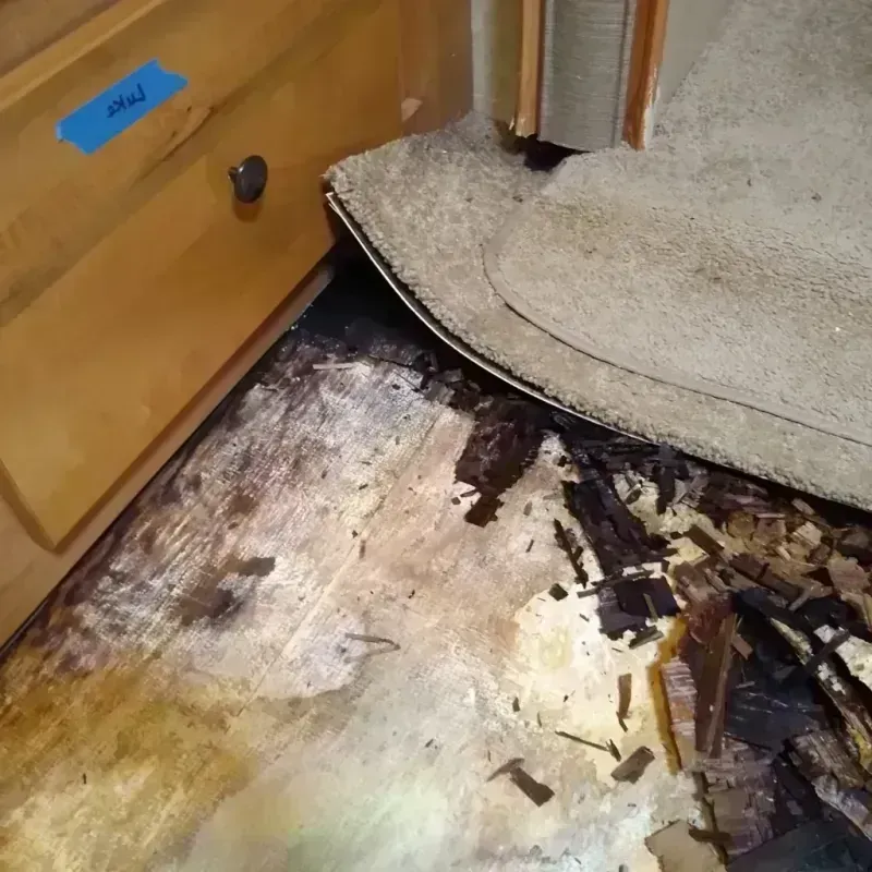 Wood Floor Water Damage in Lawrence County, AL